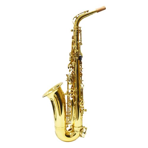 SAXOFON ALTO DORADO - CLA