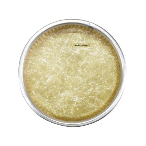 PARCHE 7 PULG. PARA BONGO SINTETICO FIBERSKYN MEINL