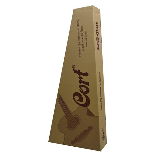 GUITARRA ELECTROACUSTICA SFX NATURAL - DESC