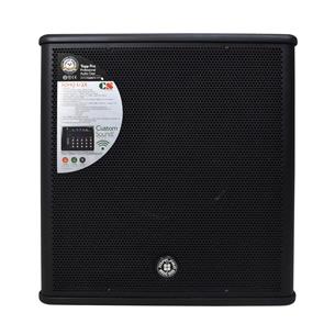 SUB BAJO ACTIVO PARA SISTEMA SOHO-X3 12 PULG. 1400W