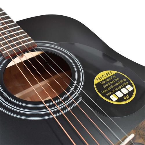 GUITARRA ACUSTICA STANDARD NEGRO SATINADO