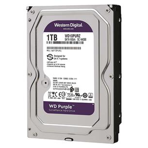 WD10PURZ-1