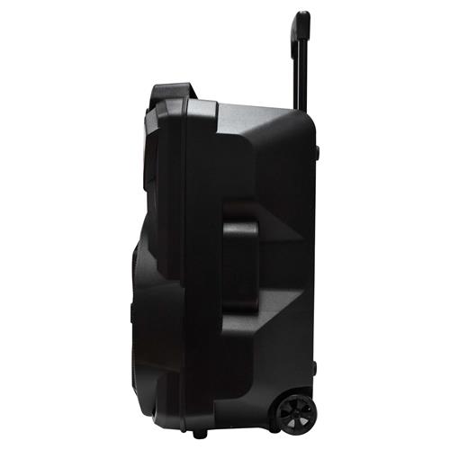 CAJA AMPLIFICADA PORTATIL 12 30000W C/LED - DESC
