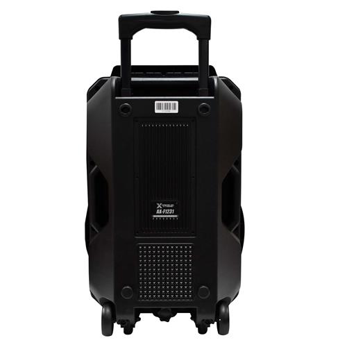 CAJA AMPLIFICADA PORTATIL 12 30000W C/LED - DESC