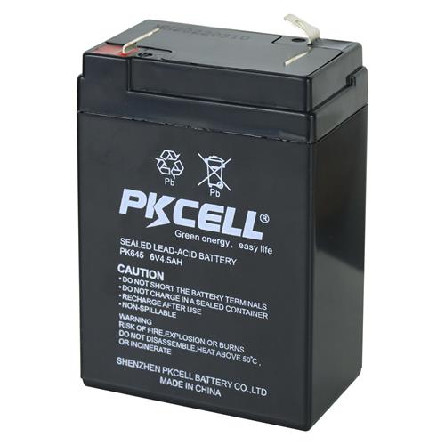BATTERIA SECA 6V-4.5AH