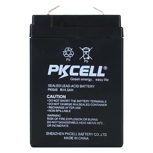 BATTERIA SECA 6V-4.5AH