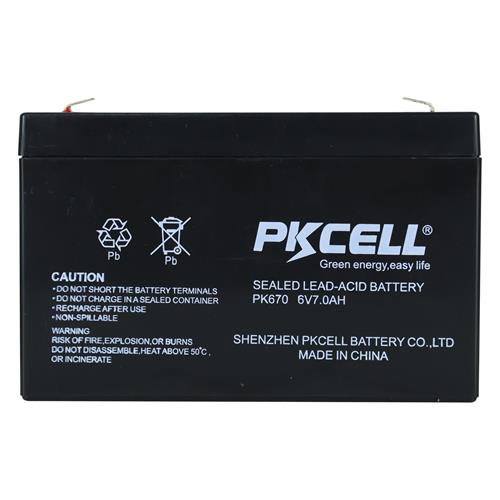 BATERIA SECA 6V-7.0AH