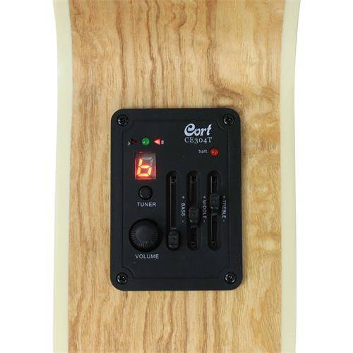 GUITARRA ELECTROACUSTICA SFX OPEN PORE