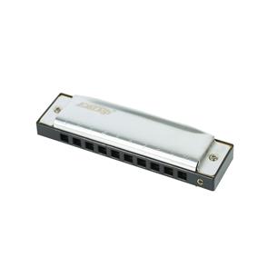 HARMONICA 10 AGUJEROS ACERO INOXIDABLE