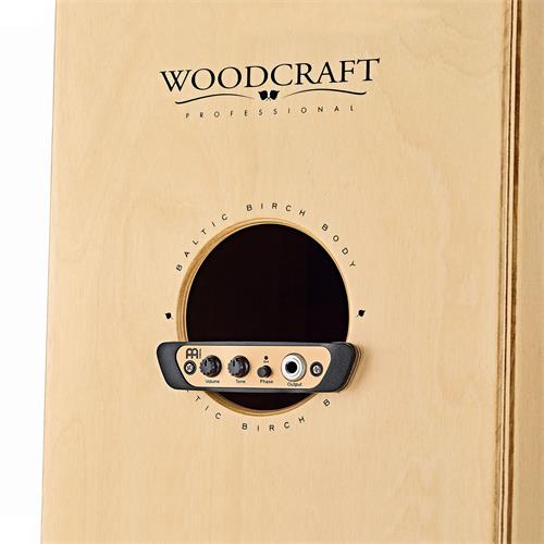PRE-AMPLIFICADOR PARA CAJON