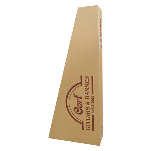 GUITARRA ELECTROACUSTICA STANDARD NEGRO SATINADO - DESC