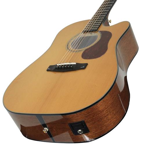 GUITARRA ELECTROACUSTICA GOLD NATURAL CON ESTUCHE DELUXE