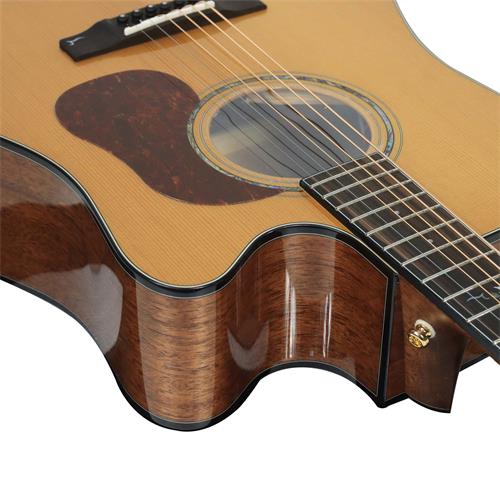GUITARRA ELECTROACUSTICA GOLD NATURAL CON ESTUCHE DELUXE