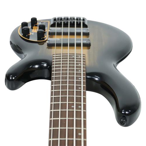 BAJO ELECTRICO 5 CUERDAS ARTISAN MARKB. PREAMP Y MICROFONO BARTO. COLOR TBB - DESC