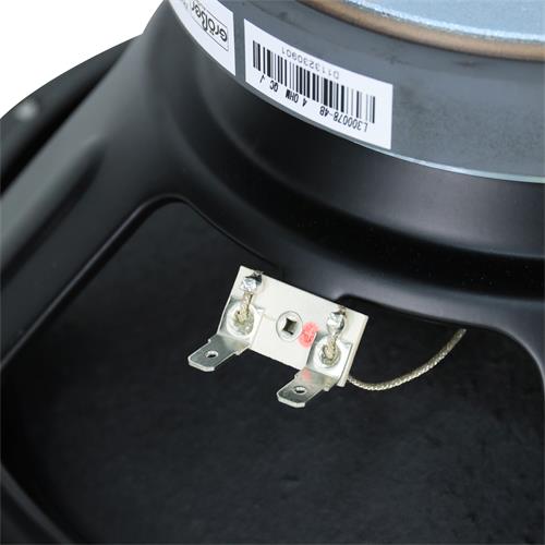 PARLANTE PROFESIONAL 12 4 OHM-700W - DESC