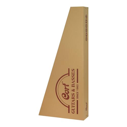 GUITARRA ELECTROACUSTICA SFX OPEN PORE - DESC