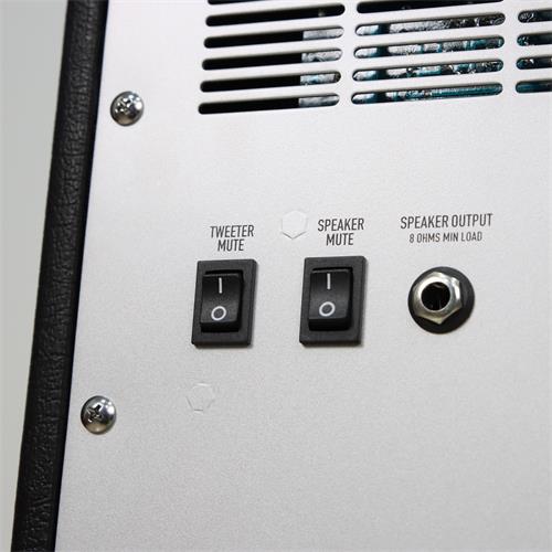 AMPLIFICADOR PARA BAJO ELECTRICO STUDIO 300W 2X10