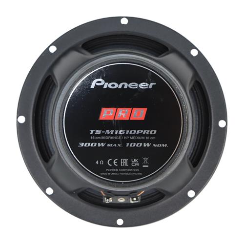 PARLANTE PRO 6 4 OHM-300W PARA CARRO - DESC