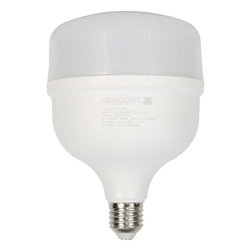 FOCO LED 40W E27 6500K - DIST