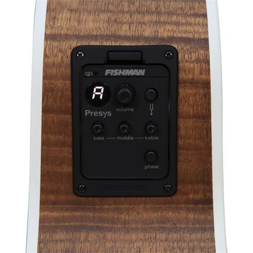 GUITARRA ELECTROACUSTICA GRAND REGAL OPEN PORE - DESC