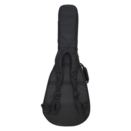 GUITARRA ACUSTICA GOLD NATURAL SATINADO CON ESTUCHE DELUXE - DESC