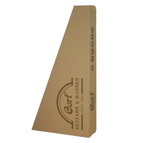 GUITARRA ELECTROACUSTICA MR NATURAL - DESC