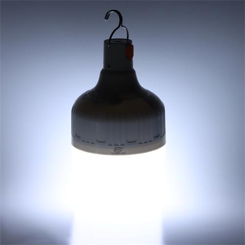 FOCO LED RECARGABLE 30W 6500K