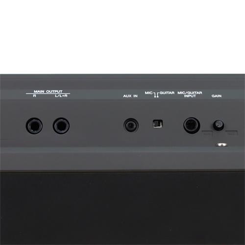 TECLADO WORKSTATION PROFESIONAL 61 TECLAS 1377 VOCES + ADAPTADOR PA-300C - DIST