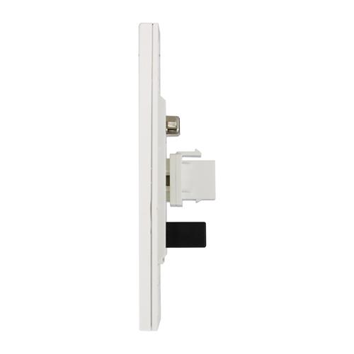 PLACA DE PARED CON USB/VGA/HDMI (FACEPLATE)
