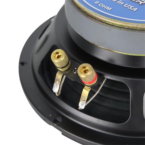 PARLANTE 8 PULGADAS 8 OHM-300W