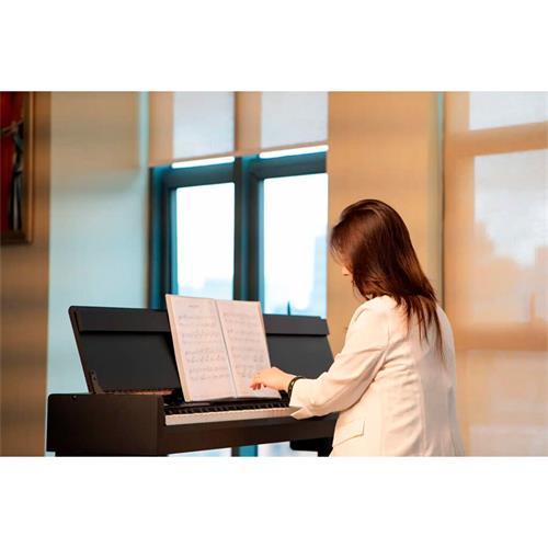 PIANO DIGITAL 88 TECLAS HAMMER CON BLUETOOTH