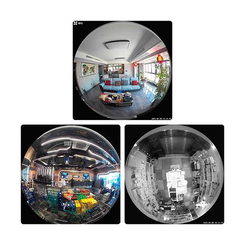 CAMARA IP WIFI FISHEYE/3K/360°/IR - DIST