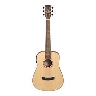 GUITARRA ELECTROACUSTICA EARTH GO OPEN PORE CON ESTUCHE - DESC