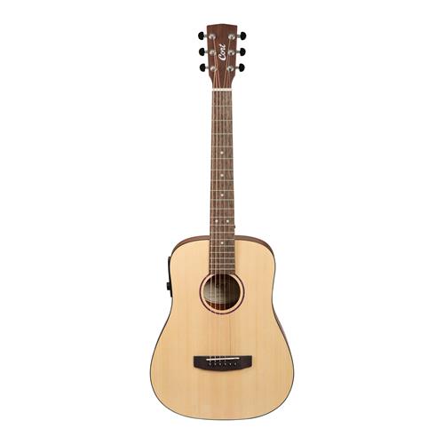 GUITARRA ELECTROACUSTICA EARTH GO OPEN PORE CON ESTUCHE - DESC