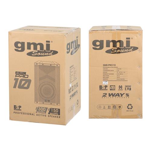 CAJA ACTIVA PRO SERIES CON USB/DSP/BT 10 PULGADAS 300W