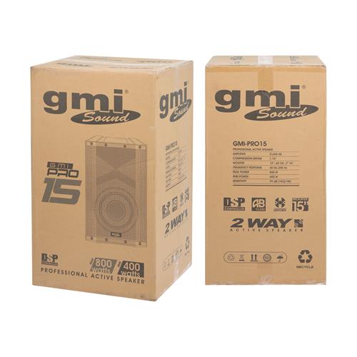 CAJA ACTIVA PRO SERIES CON USB/DSP/BT 15 PULGADAS 800W