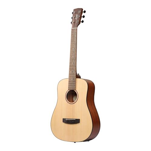 GUITARRA ELECTROACUSTICA EARTH GO OPEN PORE CON ESTUCHE - DESC