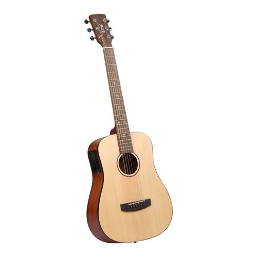 GUITARRA ELECTROACUSTICA EARTH GO OPEN PORE CON ESTUCHE - DESC