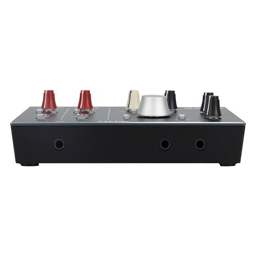 INTERFAZ DE AUDIO 2 CANALES