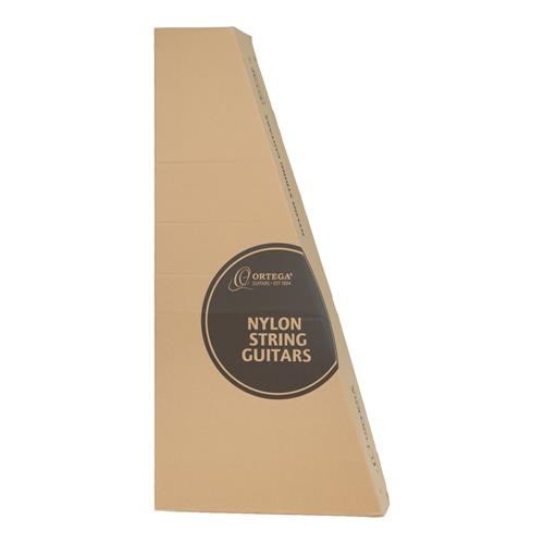 GUITARRA ELECTROCLASICA 4/4 FAMILY SERIES NATURAL CON ESTUCHE