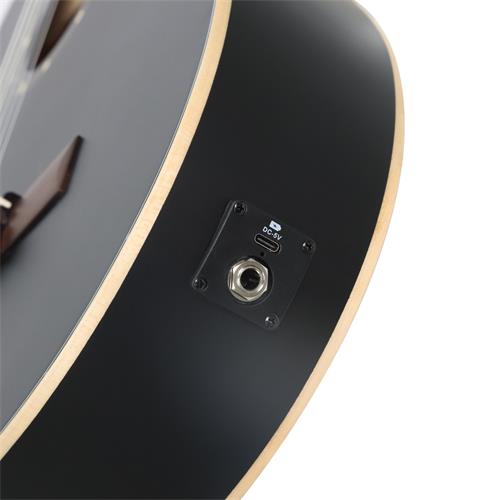GUITARRA ELECTROCLASICA 4/4 FAMILY SERIES NEGRO CON ESTUCHE