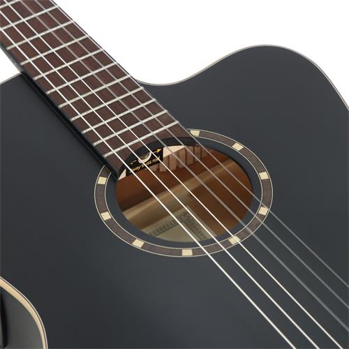 GUITARRA ELECTROCLASICA 4/4 FAMILY SERIES NEGRO CON ESTUCHE