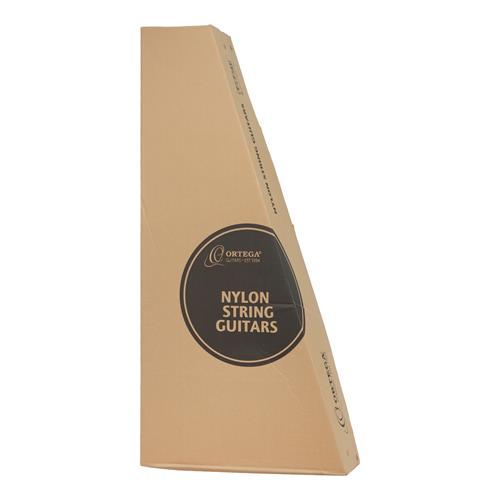 GUITARRA ELECTROCLASICA 4/4 FAMILY SERIES NEGRO CON ESTUCHE