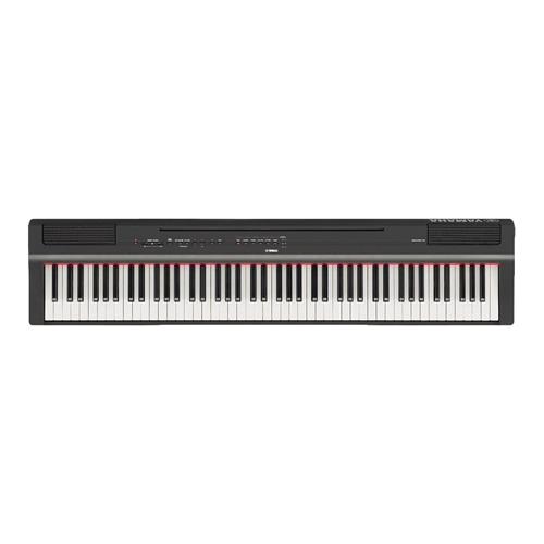 PIANO DIGITAL COMPACTO 88 TECLAS HAMMER + ADAP. PA-150 - CLA