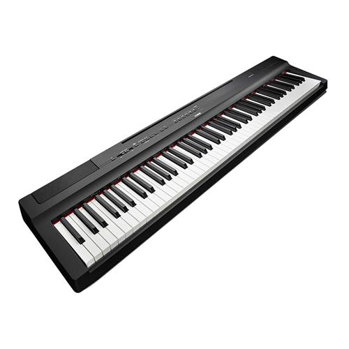 PIANO DIGITAL COMPACTO 88 TECLAS HAMMER + ADAP. PA-150 - CLA