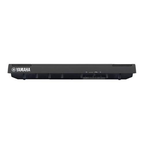 PIANO DIGITAL COMPACTO 88 TECLAS HAMMER + ADAP. PA-150 - CLA