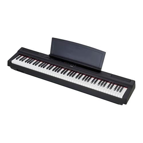 PIANO DIGITAL COMPACTO 88 TECLAS HAMMER + ADAP. PA-150 - CLA