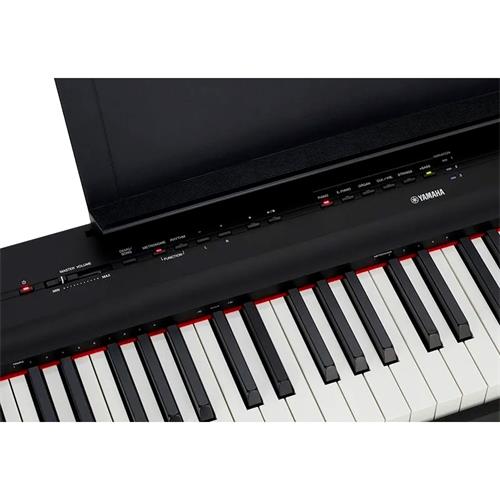 PIANO DIGITAL COMPACTO 88 TECLAS HAMMER + ADAP. PA-150 - CLA