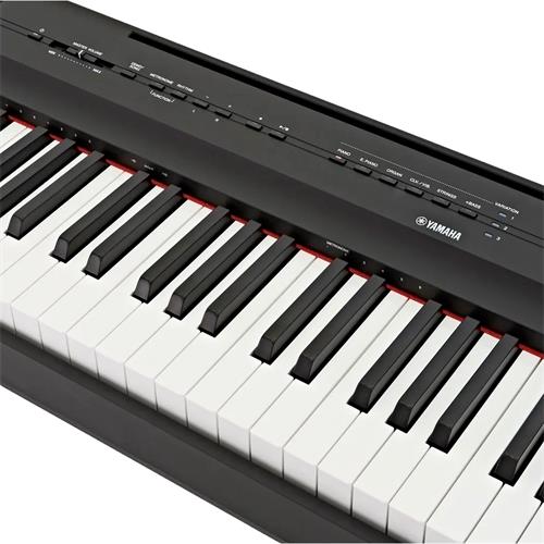 PIANO DIGITAL COMPACTO 88 TECLAS HAMMER + ADAP. PA-150 - CLA