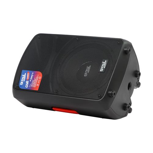 CAJA ACTIVA LITE SERIES CON DSP/BT 12 PULGADAS 300W